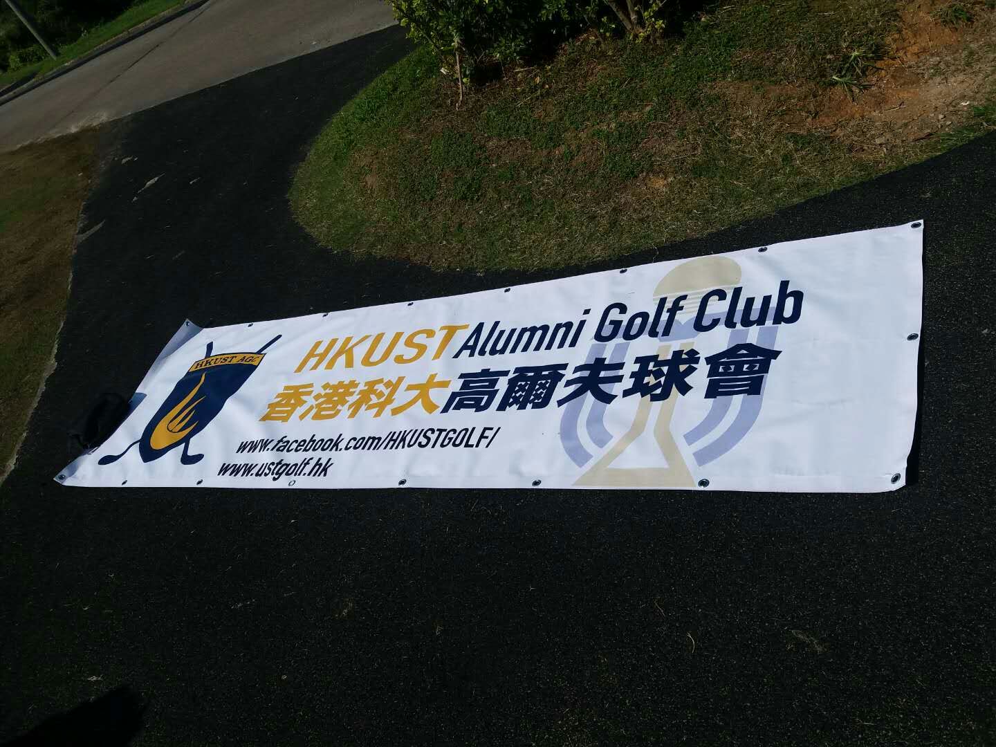 mmexport1511168921309.jpg